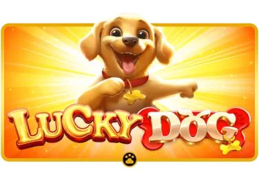 Antarmuka login bulan 33 dan akses Togel di perangkat mobile Android dan iOS